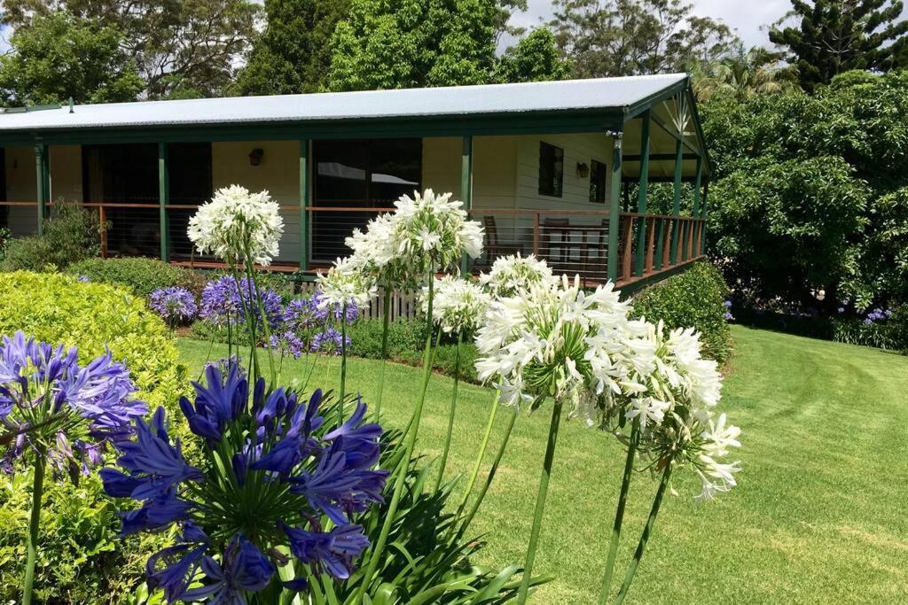 Apartamento Bundara - Idyllic Getaway In The Mountains Mount Tamborine Exterior foto